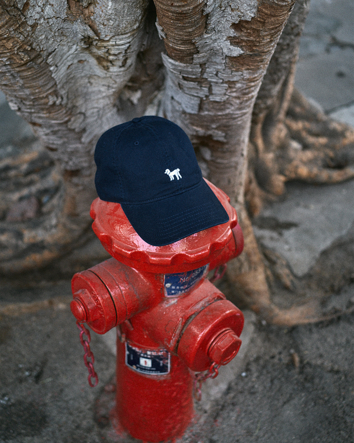 "Pan Pan" Baseball Cap - Deep Blue